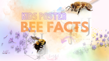 2022-Bee-Facts-Banner-1.png