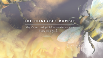 The-Honeybee-Bumble-2.png