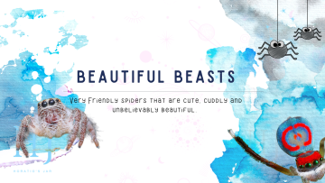 2022-Beautiful-Beasts-Banner-1.png